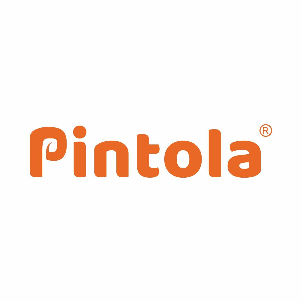 PINTOLA