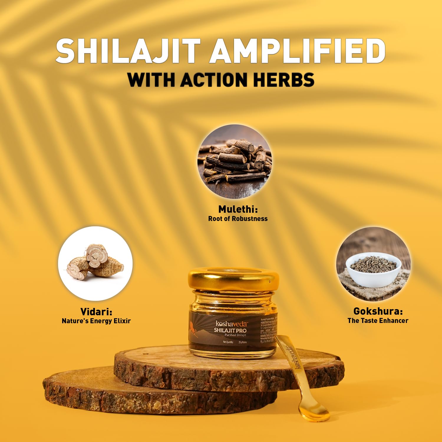 Koshaveda Shilajit Pro by MuscleBlaze, 20 g Shilajit Resin, for Strength, Stamina & Endurance